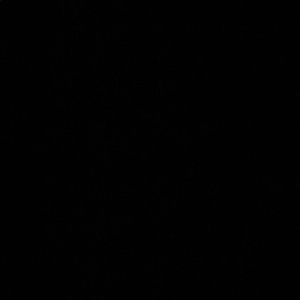 Meet your Posher, Corbin